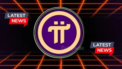 Can Pi Network\