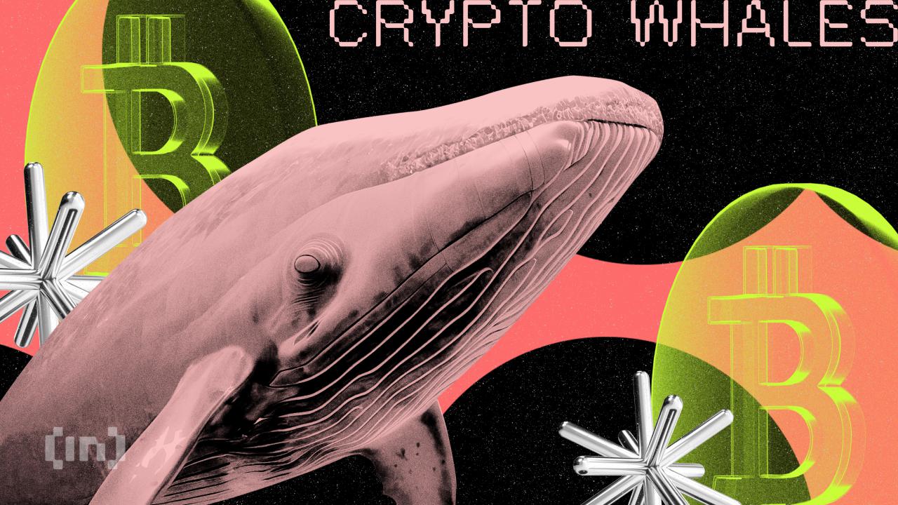What Are Cryptocurrency Whales Betting on in October?